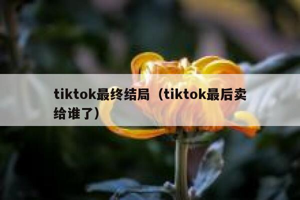tiktok最终结局(tiktok最后卖给谁了) 第1张 tiktok最终结局(tiktok最后卖给谁了) 第1张
