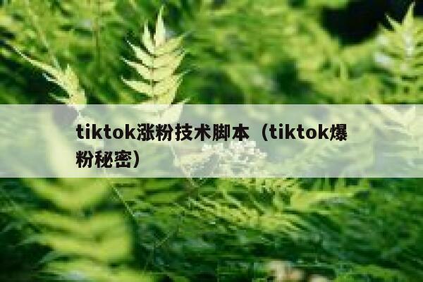 tiktok涨粉技术脚本（tiktok爆粉秘密） 第1张
