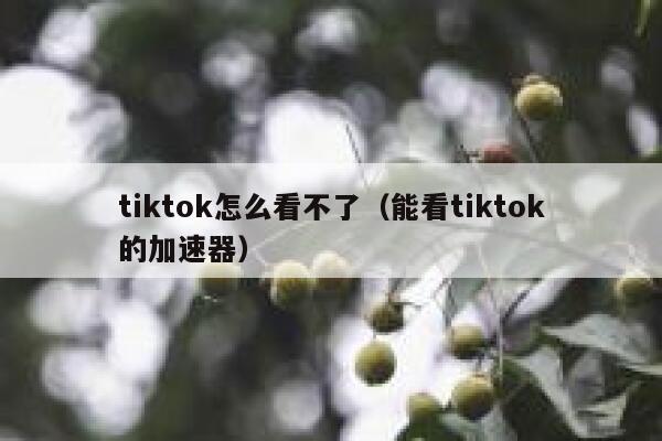 tiktok怎么看不了(能看tiktok的加速器) 第1张 tiktok怎么看不了(能看tiktok的加速器) 第1张
