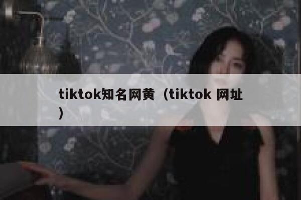 tiktok知名网黄（tiktok 网址） 第1张