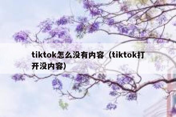 tiktok怎么没有内容（tiktok打开没内容） 第1张