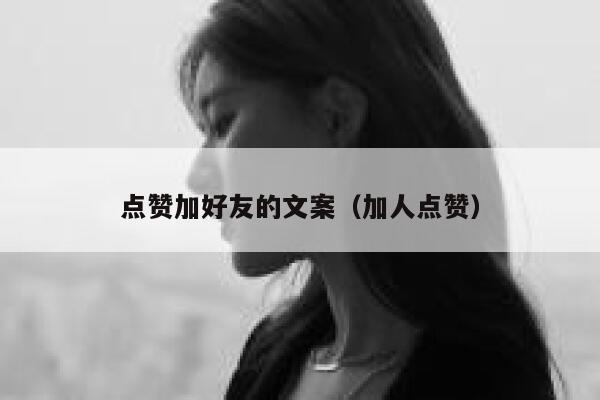点赞加好友的文案（加人点赞） 第1张