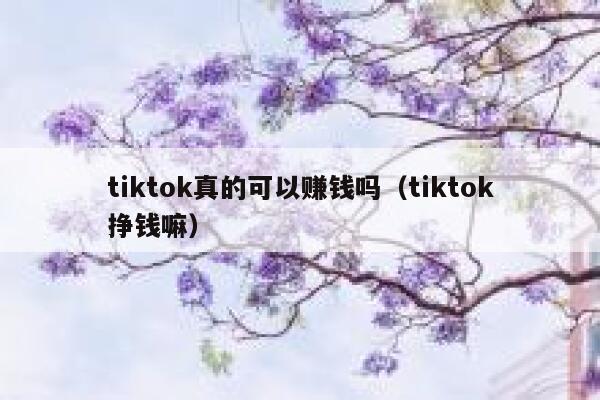 tiktok真的可以赚钱吗（tiktok挣钱嘛） 第1张