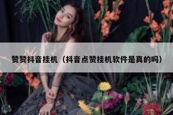 赞赞抖音挂机（抖音点赞挂机软件是真的吗） 第1张
