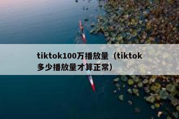 tiktok100万播放量（tiktok多少播放量才算正常） 第1张