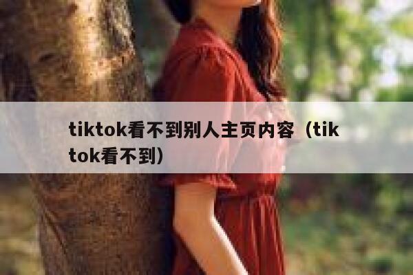 tiktok看不到别人主页内容（tik tok看不到） 第1张