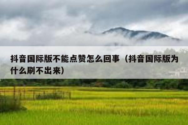 抖音国际版不能点赞怎么回事（抖音国际版为什么刷不出来） 第1张