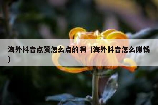 海外抖音点赞怎么点的啊（海外抖音怎么赚钱） 第1张