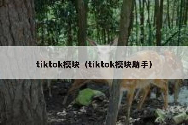 tiktok模块（tiktok模块助手） 第1张