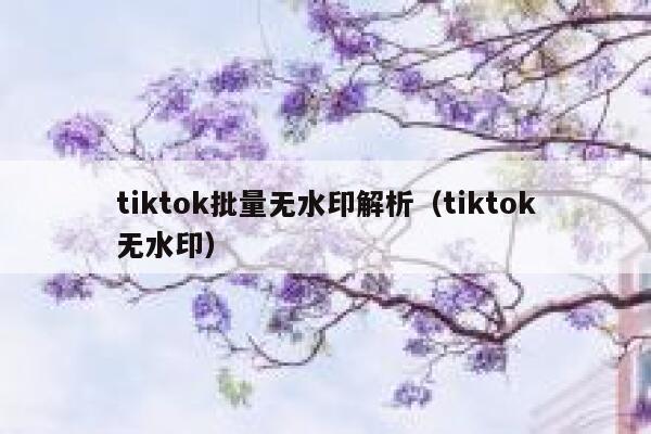 tiktok批量无水印解析（tiktok无水印） 第1张