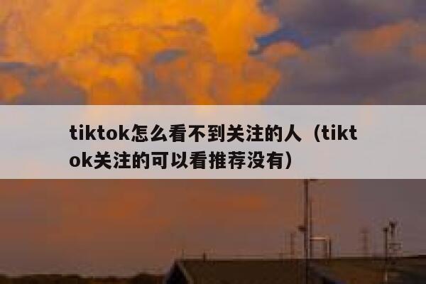tiktok怎么看不到关注的人（tiktok关注的可以看推荐没有） 第1张