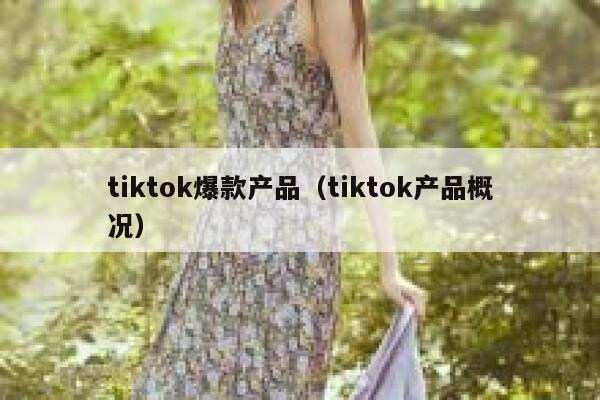 tiktok爆款产品（tiktok产品概况） 第1张