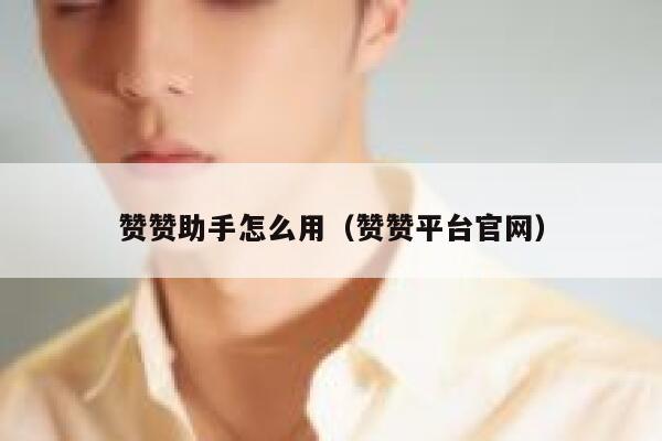 赞赞助手怎么用（赞赞平台官网） 第1张