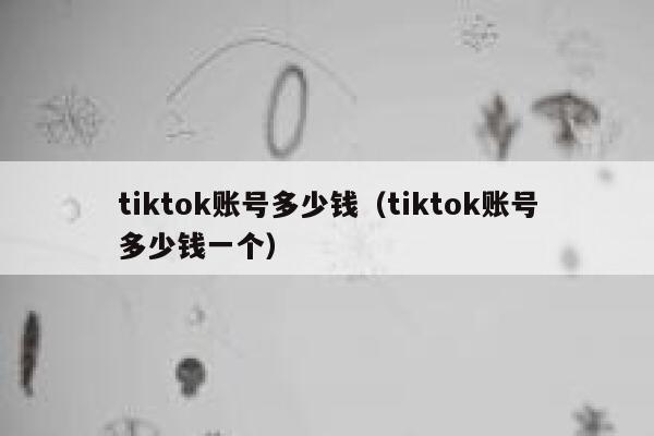 tiktok账号多少钱（tiktok账号多少钱一个） 第1张