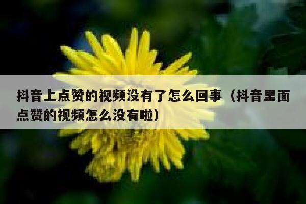 抖音上点赞的视频没有了怎么回事（抖音里面点赞的视频怎么没有啦） 第1张