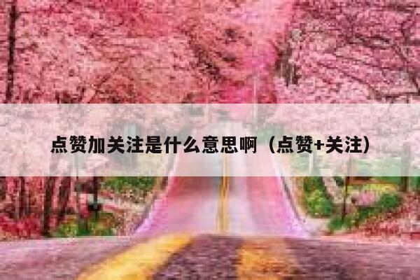 点赞加关注是什么意思啊（点赞+关注） 第1张