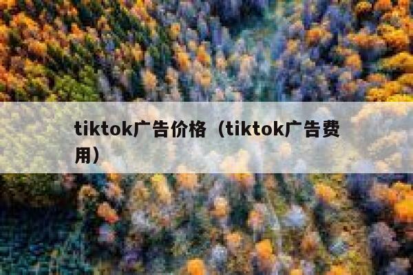 tiktok广告价格（tiktok广告费用） 第1张