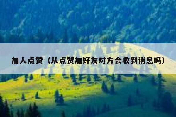 加人点赞（从点赞加好友对方会收到消息吗） 第1张