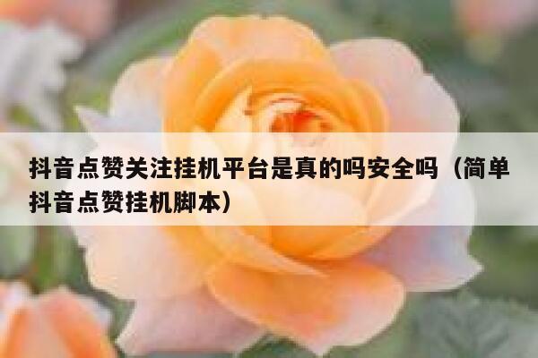 抖音点赞关注挂机平台是真的吗安全吗（简单抖音点赞挂机脚本） 第1张