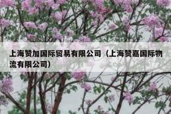 上海赞加国际贸易有限公司（上海赞嘉国际物流有限公司） 第1张
