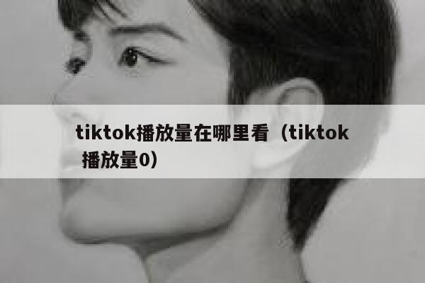 tiktok播放量在哪里看（tiktok 播放量0） 第1张