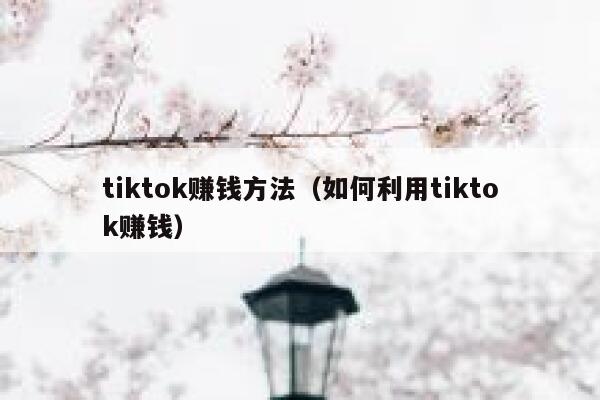 tiktok赚钱方法（如何利用tiktok赚钱） 第1张