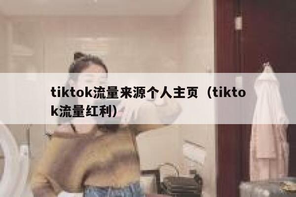 tiktok流量来源个人主页（tiktok流量红利） 第1张