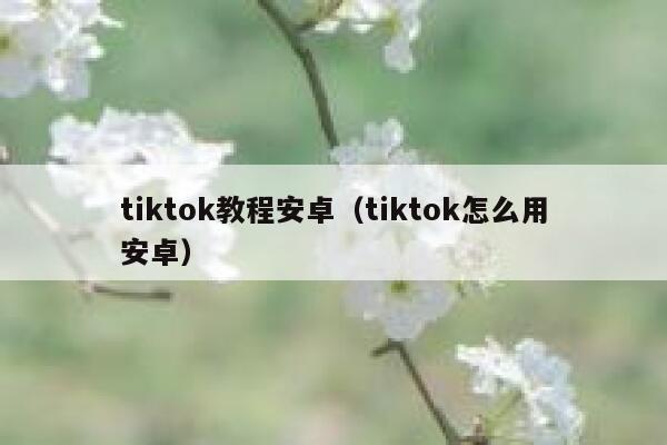 tiktok教程安卓（tiktok怎么用安卓） 第1张
