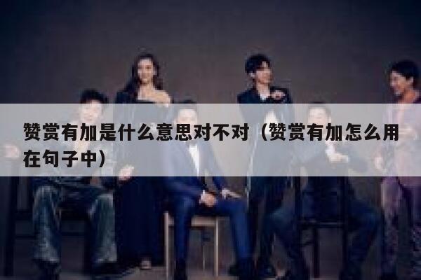 赞赏有加是什么意思对不对（赞赏有加怎么用在句子中） 第1张