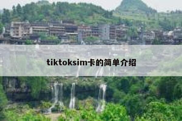 tiktoksim卡的简单介绍 第1张 tiktoksim卡的简单介绍 第1张