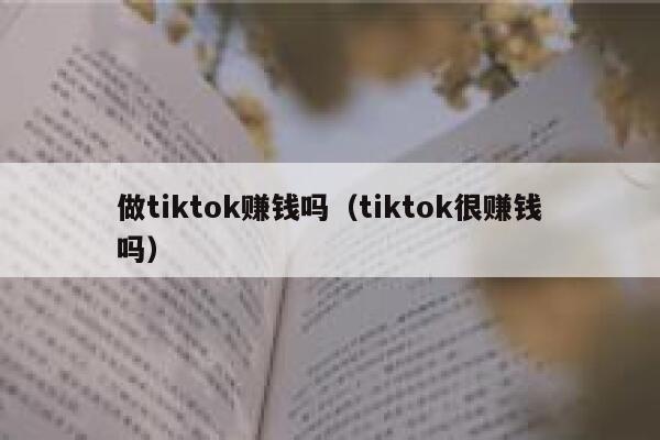 做tiktok赚钱吗（tiktok很赚钱吗） 第1张