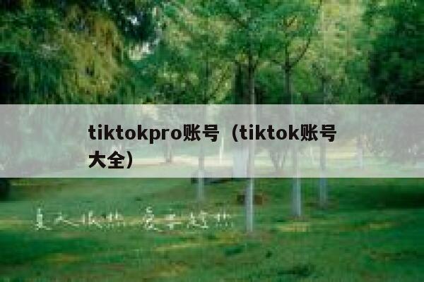 tiktokpro账号（tiktok账号大全） 第1张