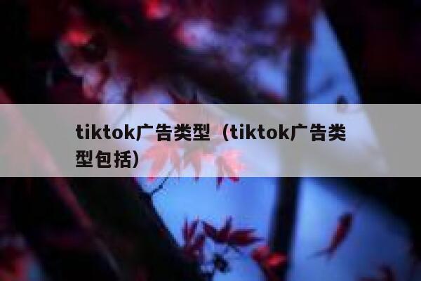 tiktok广告类型（tiktok广告类型包括） 第1张