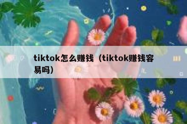tiktok怎么赚钱（tiktok赚钱容易吗） 第1张