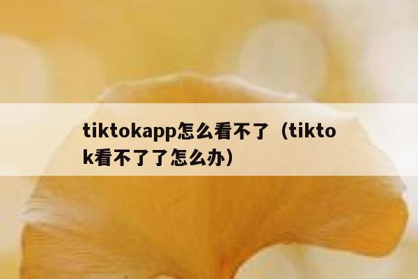 tiktokapp怎么看不了（tiktok看不了了怎么办） 第1张
