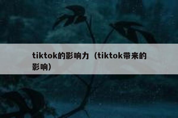 tiktok的影响力（tiktok带来的影响） 第1张
