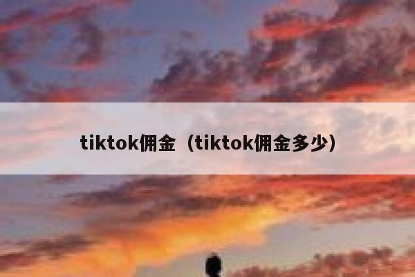 tiktok佣金（tiktok佣金多少） 第1张