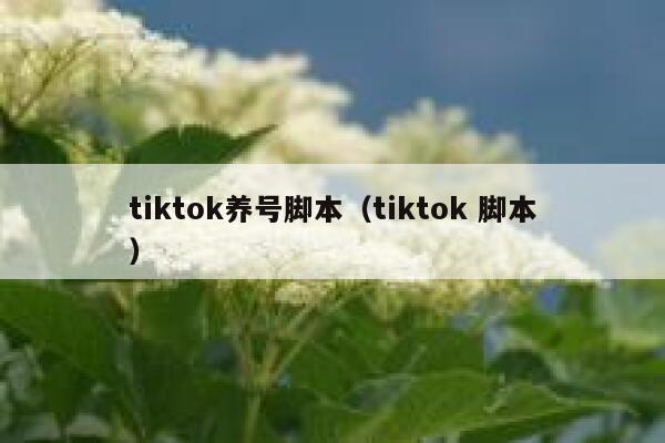 tiktok养号脚本（tiktok 脚本） 第1张