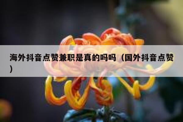 海外抖音点赞兼职是真的吗吗(国外抖音点赞) 第1张 海外抖音点赞兼职是真的吗吗(国外抖音点赞) 第1张