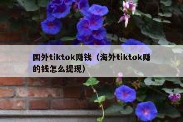 国外tiktok赚钱(海外tiktok赚的钱怎么提现) 第1张 国外tiktok赚钱(海外tiktok赚的钱怎么提现) 第1张