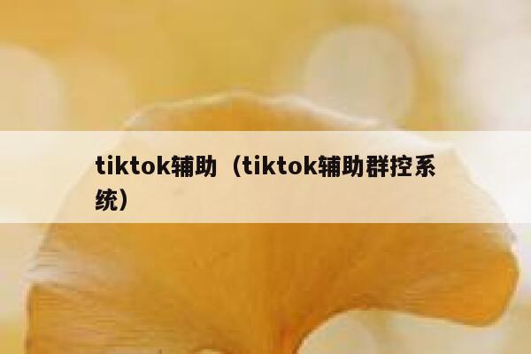 tiktok辅助（tiktok辅助群控系统） 第1张