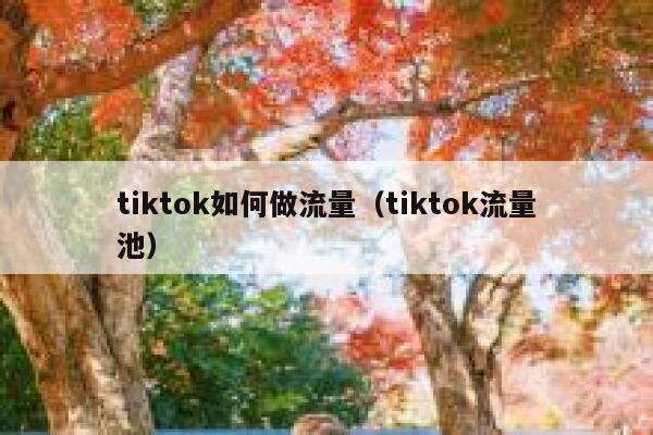 tiktok如何做流量（tiktok流量池） 第1张