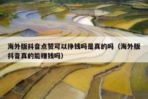 海外版抖音点赞可以挣钱吗是真的吗(海外版抖音真的能赚钱吗) 第1张 海外版抖音点赞可以挣钱吗是真的吗(海外版抖音真的能赚钱吗) 第1张
