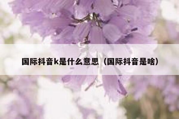 国际抖音k是什么意思(国际抖音是啥) 第1张 国际抖音k是什么意思(国际抖音是啥) 第1张