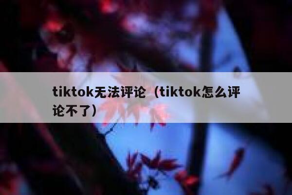 tiktok无法评论(tiktok怎么评论不了) 第1张 tiktok无法评论(tiktok怎么评论不了) 第1张