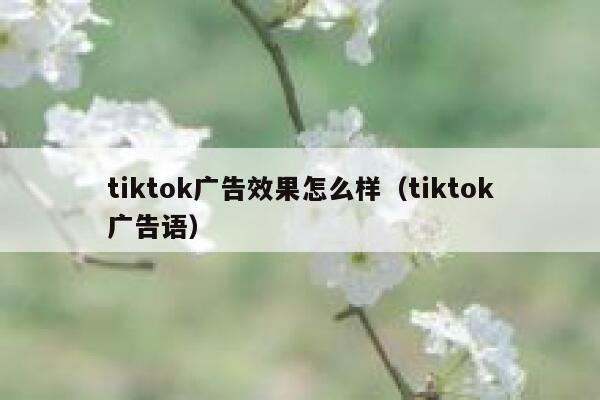 tiktok广告效果怎么样(tiktok广告语) 第1张 tiktok广告效果怎么样(tiktok广告语) 第1张