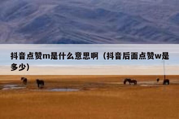 抖音点赞m是什么意思啊(抖音后面点赞w是多少) 第1张 抖音点赞m是什么意思啊(抖音后面点赞w是多少) 第1张