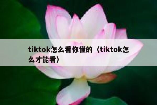 tiktok怎么看你懂的（tiktok怎么才能看） 第1张
