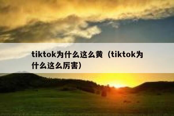 tiktok为什么这么黄（tiktok为什么这么厉害） 第1张