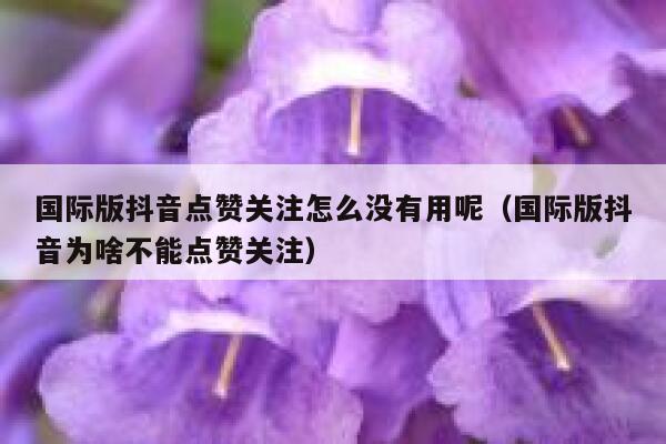 国际版抖音点赞关注怎么没有用呢（国际版抖音为啥不能点赞关注） 第1张